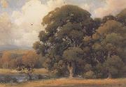 unknow artist Large Oak china oil painting reproduction